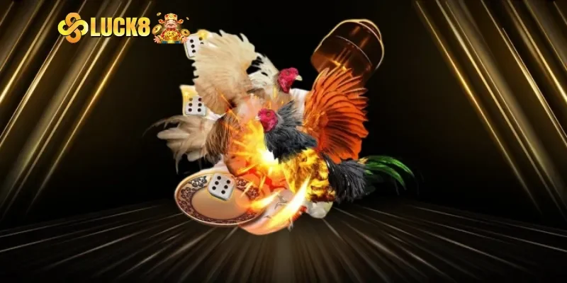 Bí quyết chơi đá gà mạng nhất định thắng tại Luck8
