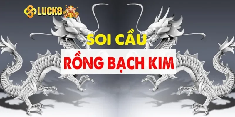 Khám phá tổng quan về soi cầu Rồng Bạch Kim